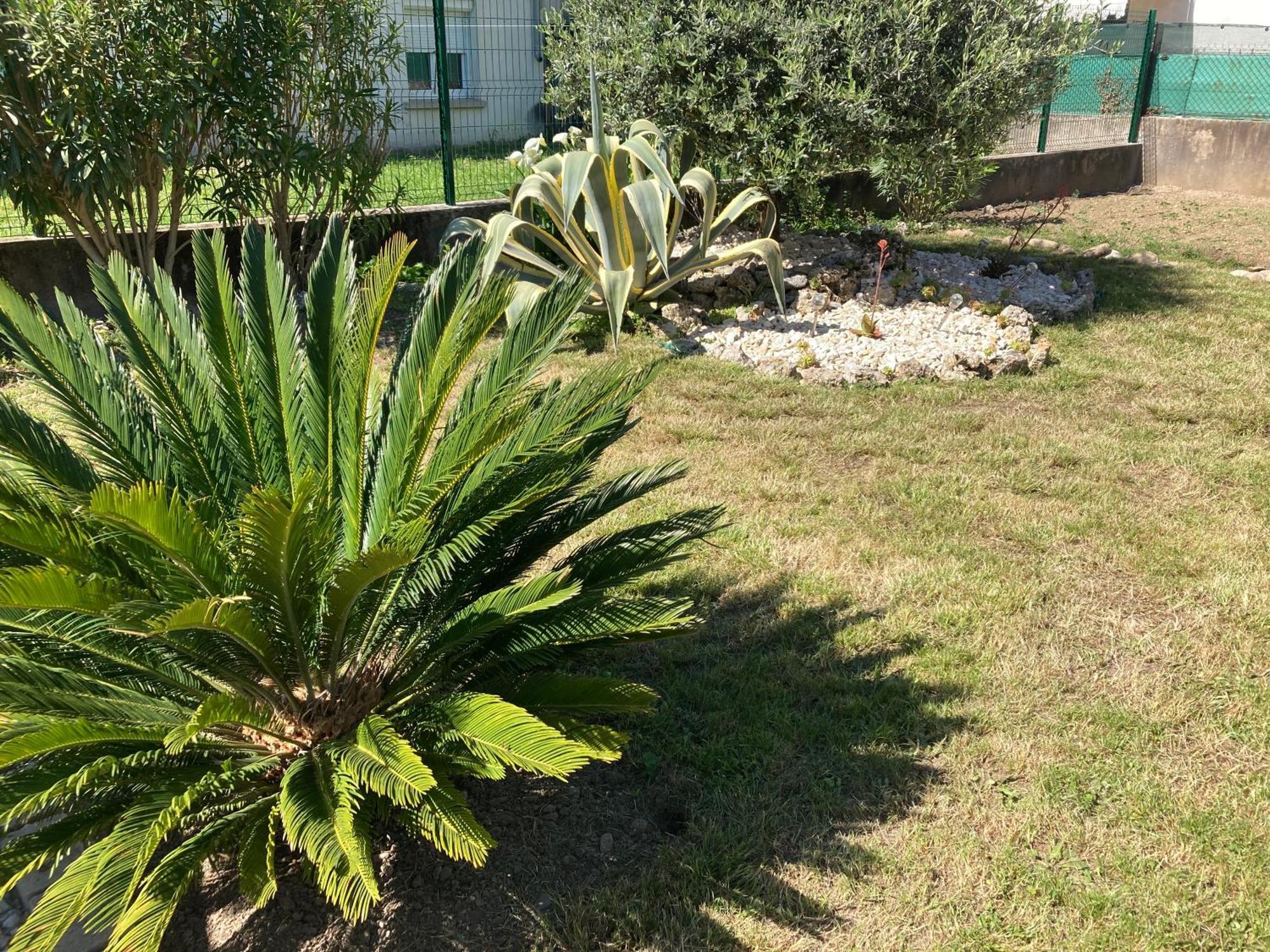 Chez Val Et Phil Hotel La Voulte-sur-Rhone Kültér fotó